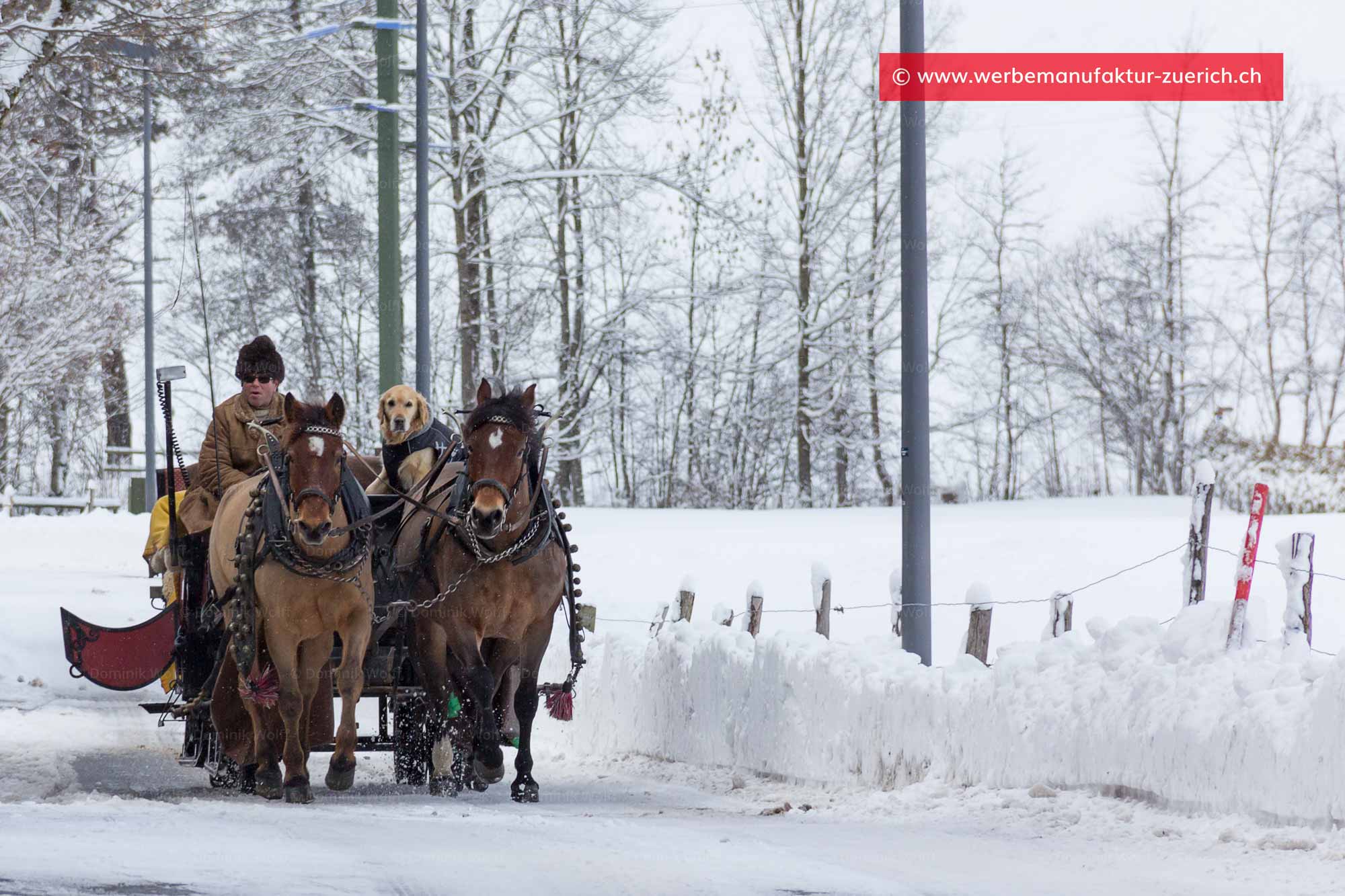 Bild + Foto - Pferdeschlitten in Gstaad