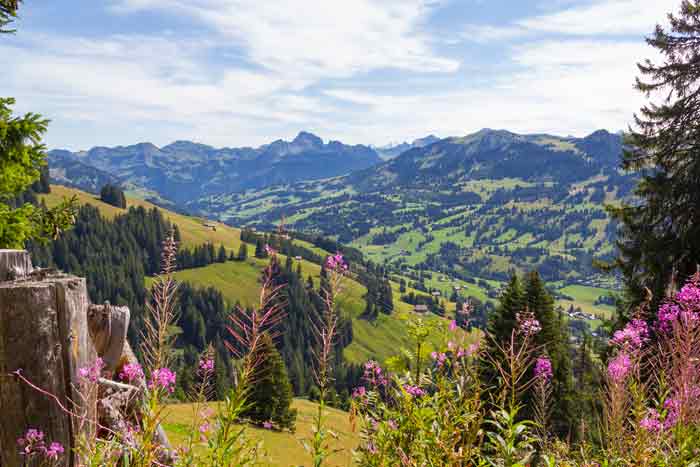 Blick nach Saanenmöser