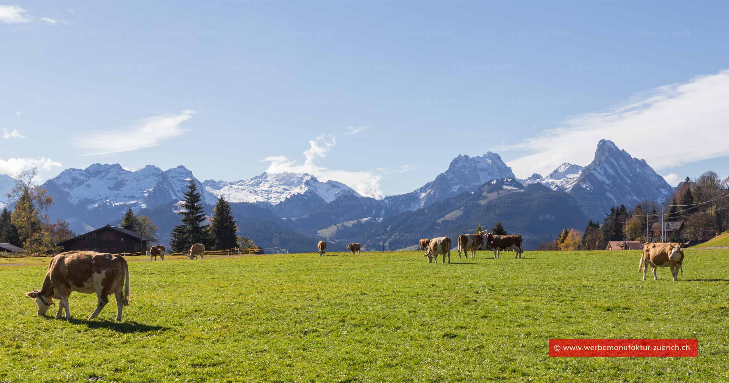 Bild + Foto - Von Saanenmöser nach Schönried