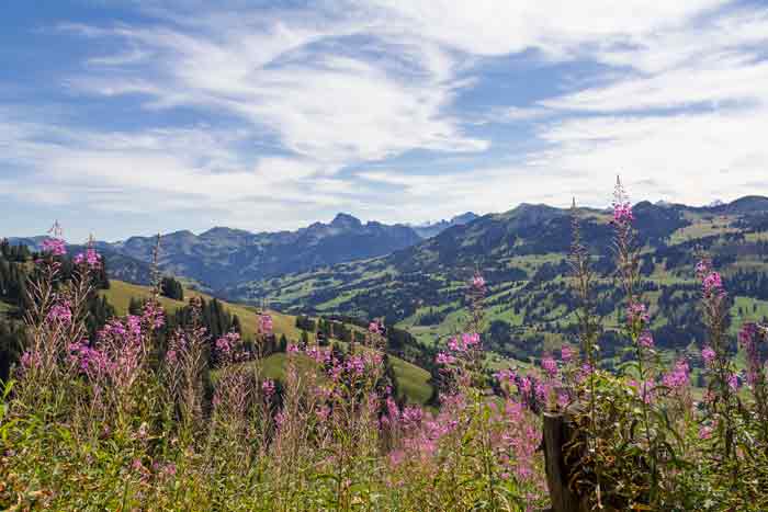 Blick zum Obersimmental