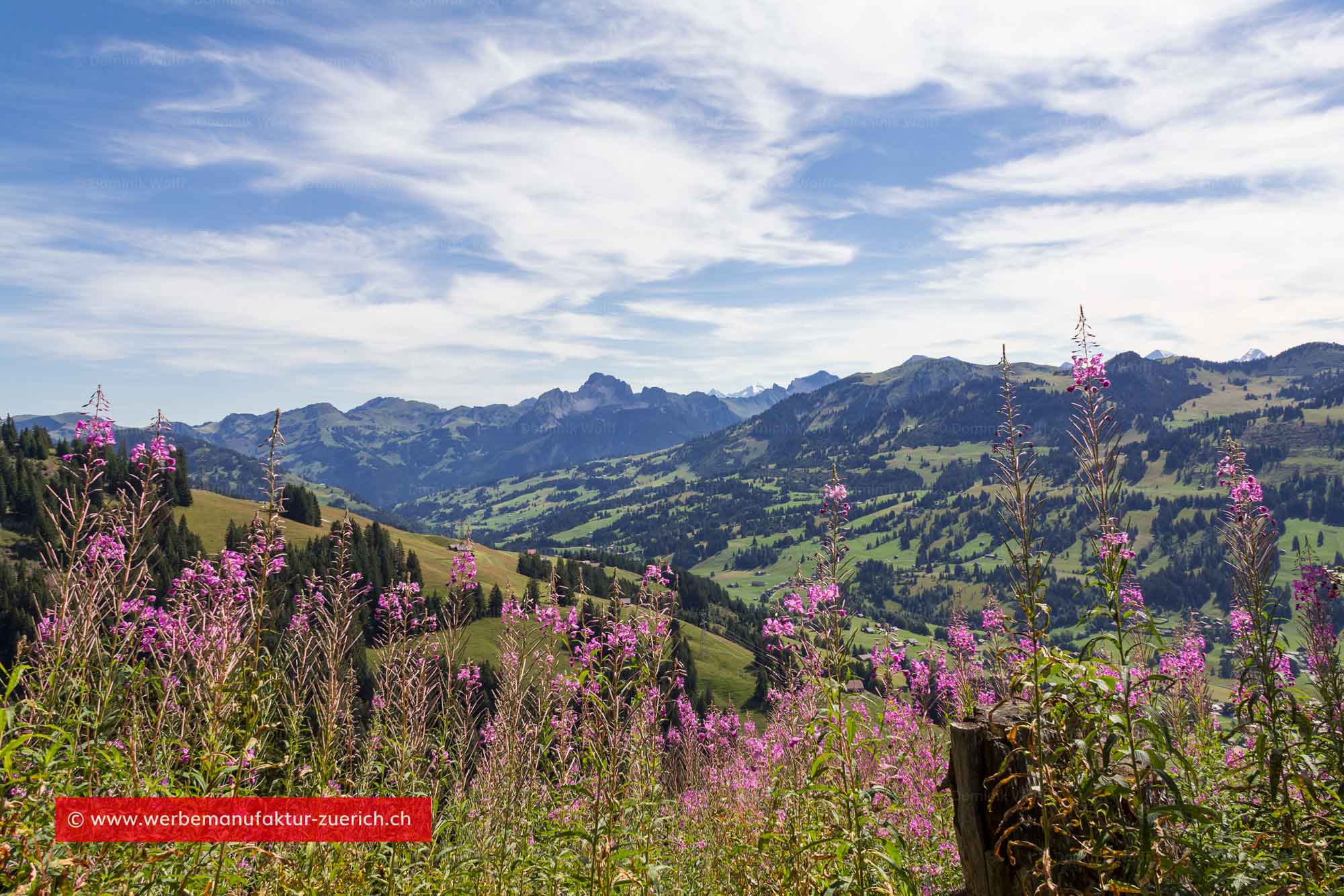 Bild + Foto - Saanenmöser im Saanenland