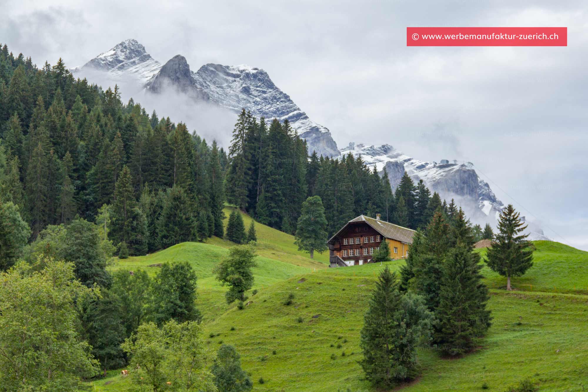 Bild + Foto - Sanetschhorn, Oldenhorn und Schluchhorn