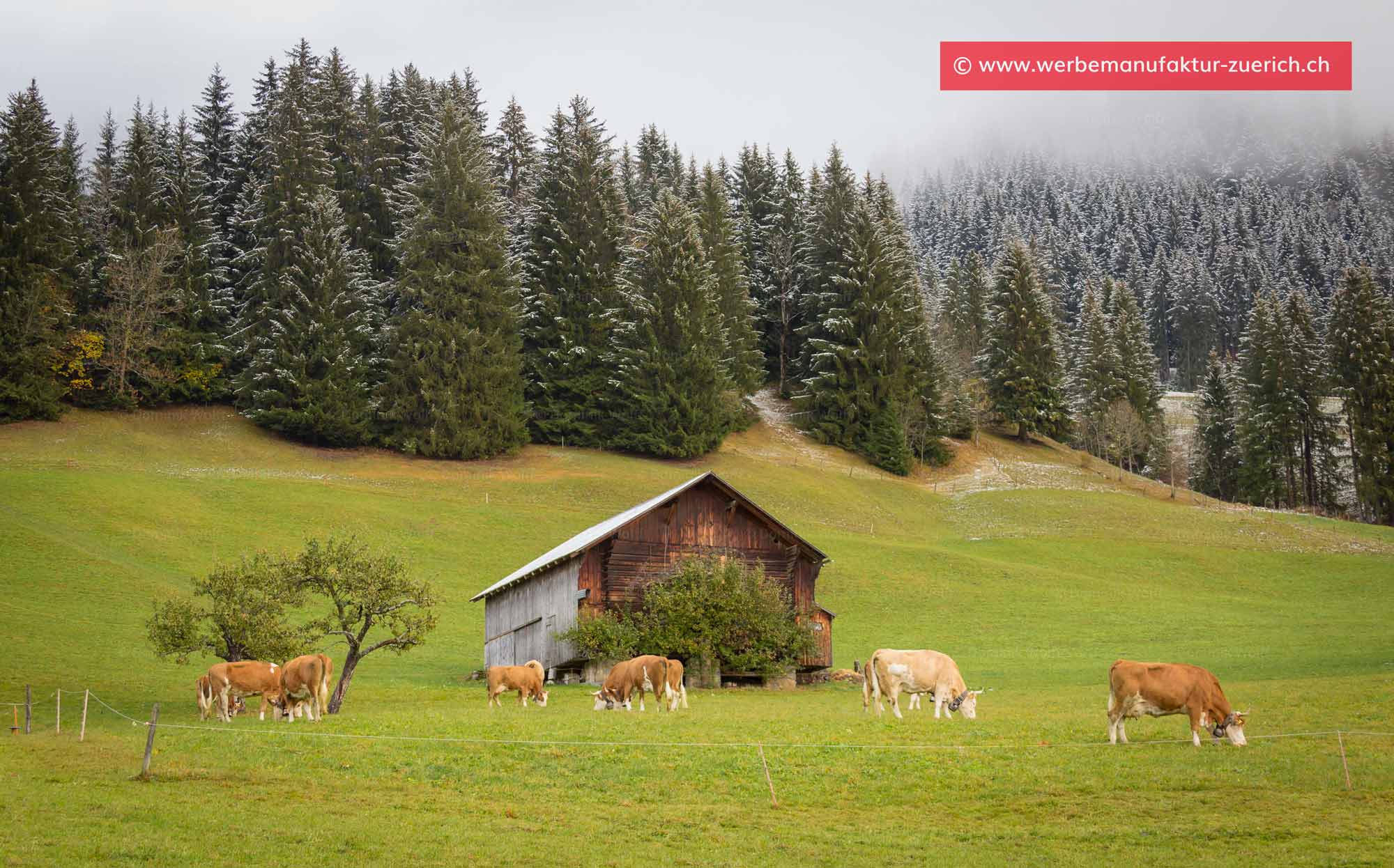 Bild + Foto - Schneegrenze über Gstaad