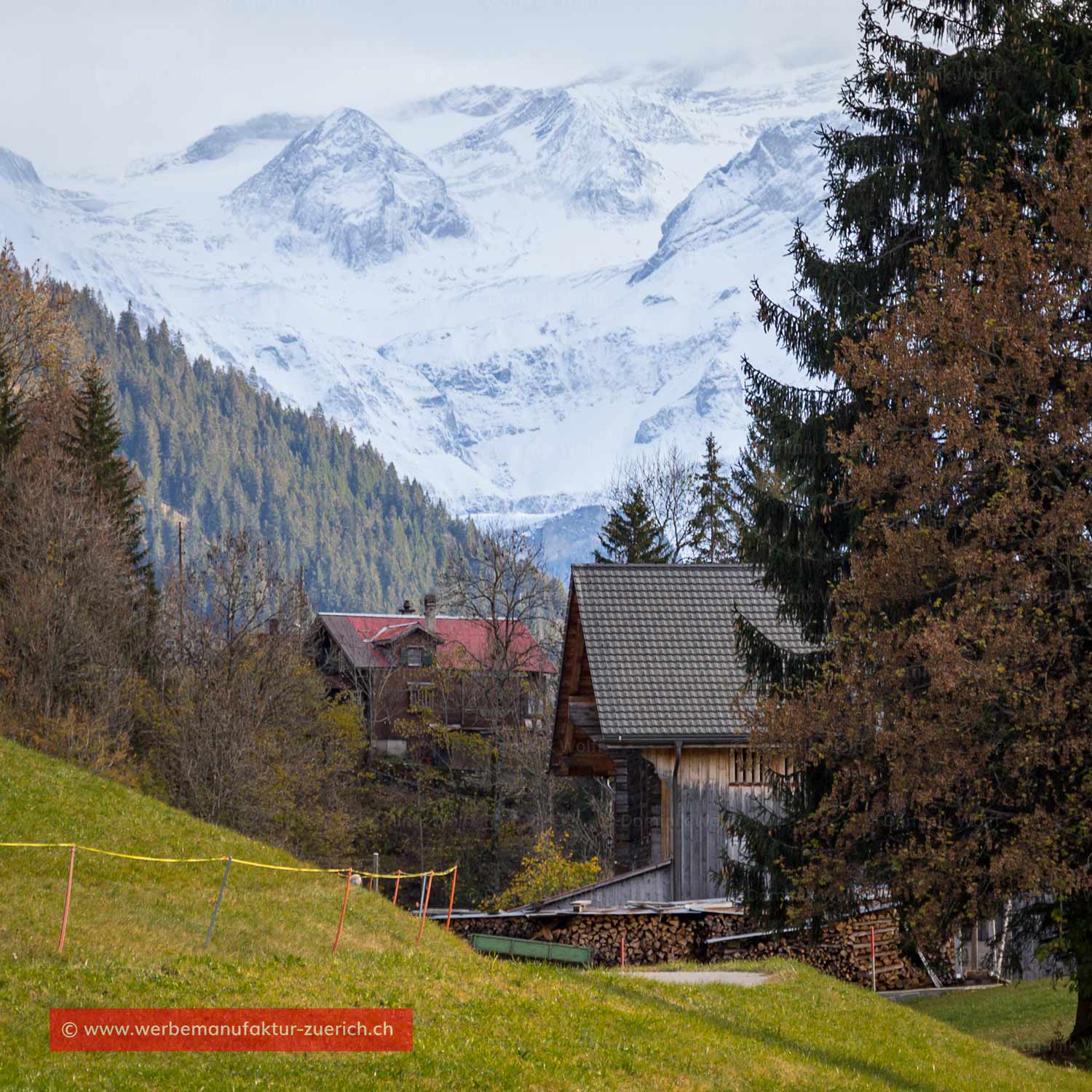 Bild + Foto - Tungelgletscher und Chilchligletscher