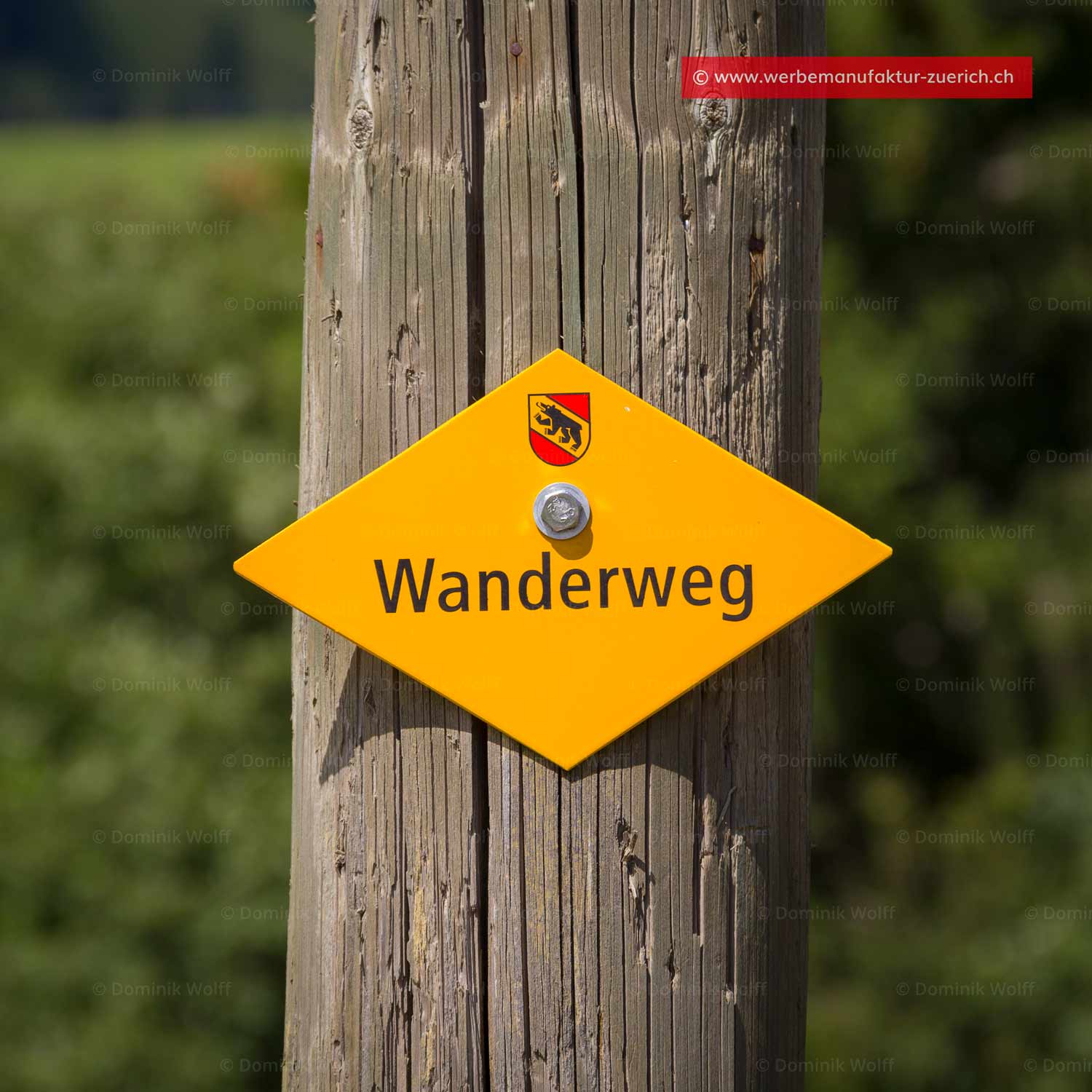 Bild + Foto - Wanderweg in Gstaad / Saanenland