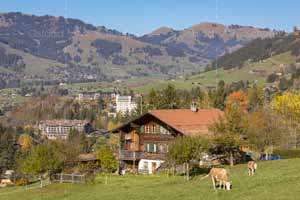 Symbiose in Gstaad