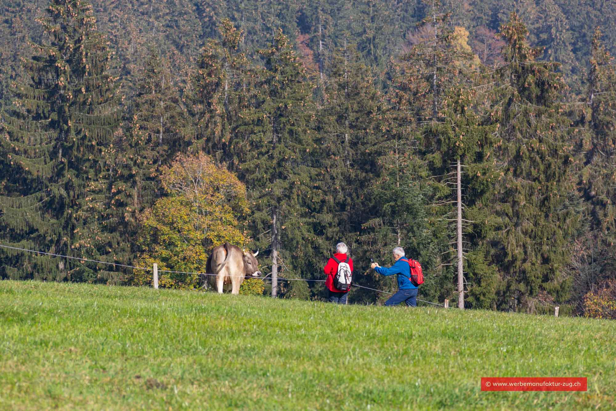 Bild + Foto - Abschwändi am Bergpass Raten
