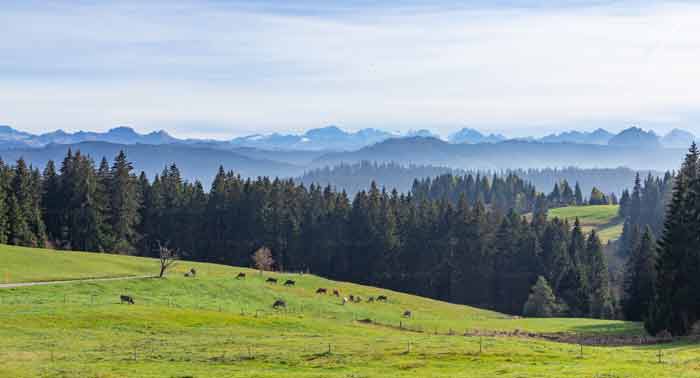 Alpen-Panorama im Kanton Zug