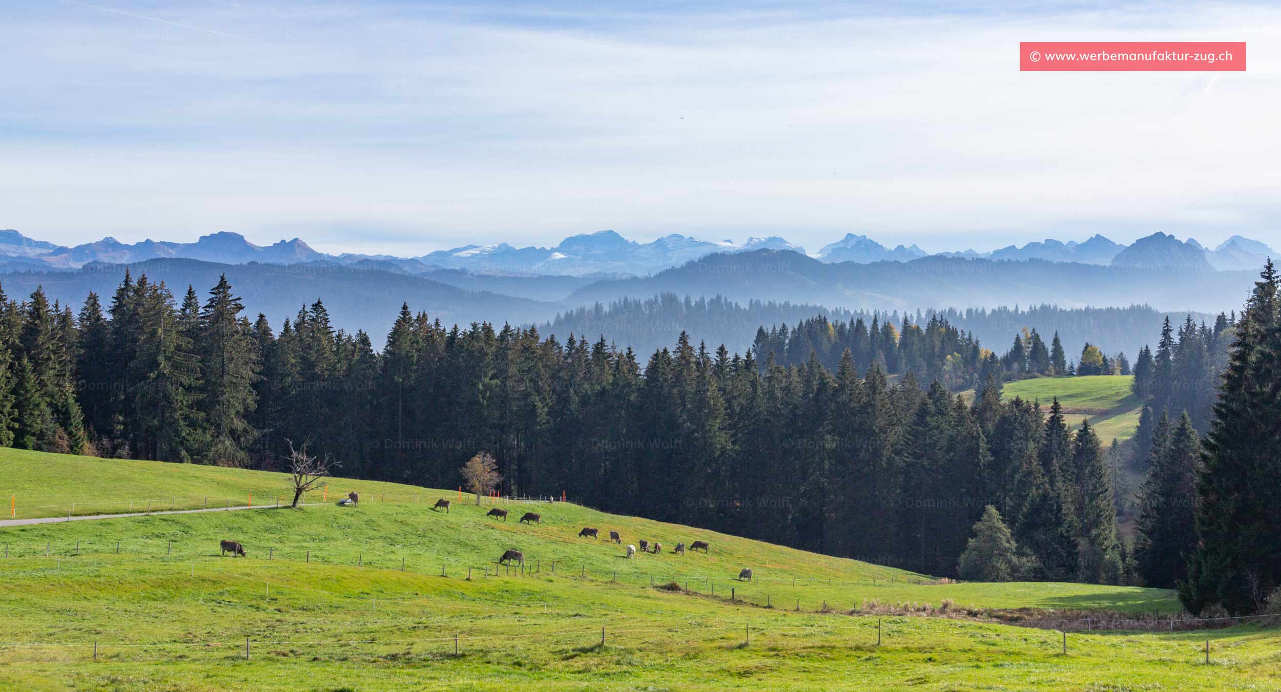 Bild + Foto - Alpen-Panorama Gottschalkenberg
