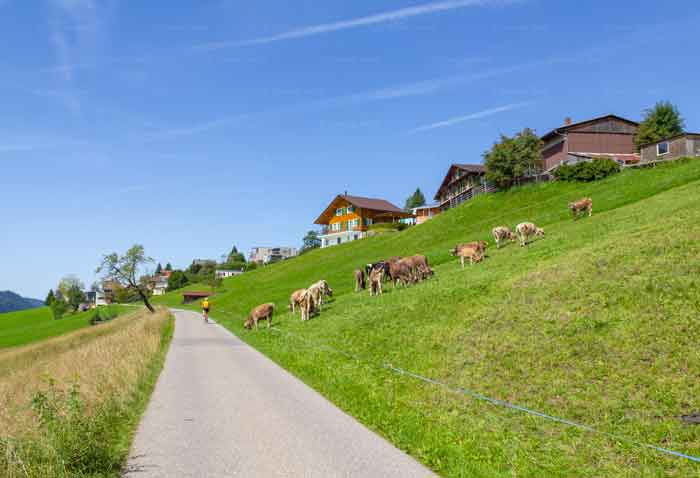 Bergdorf im Kanton Zug