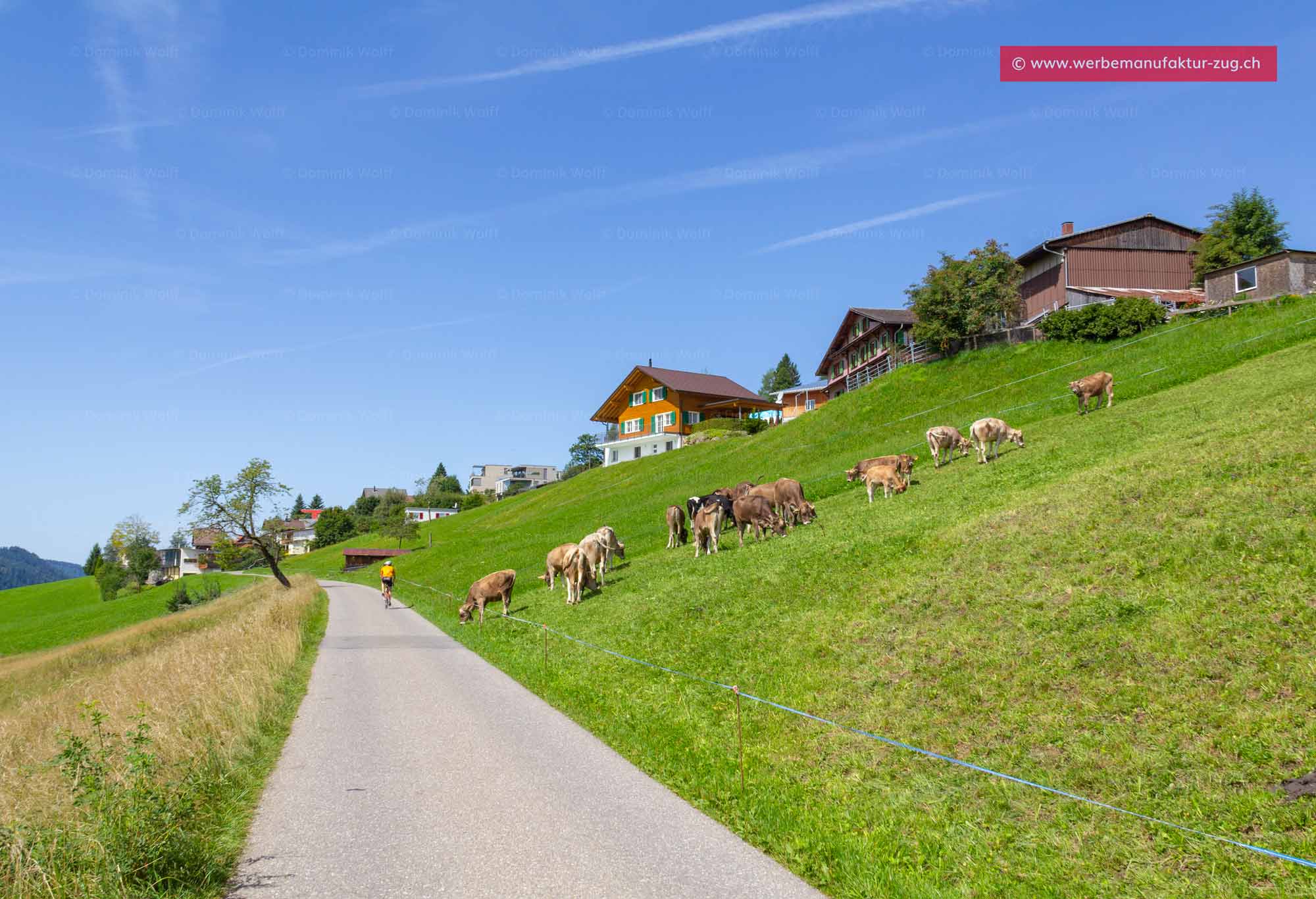 Bild + Foto - Böschi - Oberägeri / Schweiz