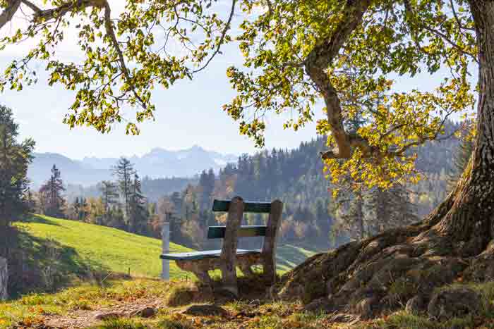 Auf dem Zugerberg / Schweiz