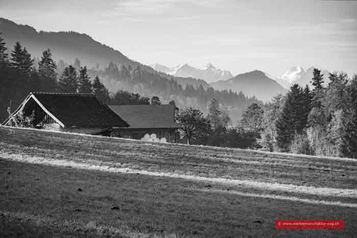 Von Zug zum Berner Oberland