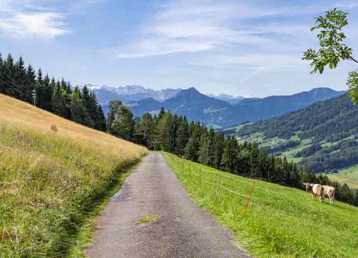 Alpines Zug / Schweiz