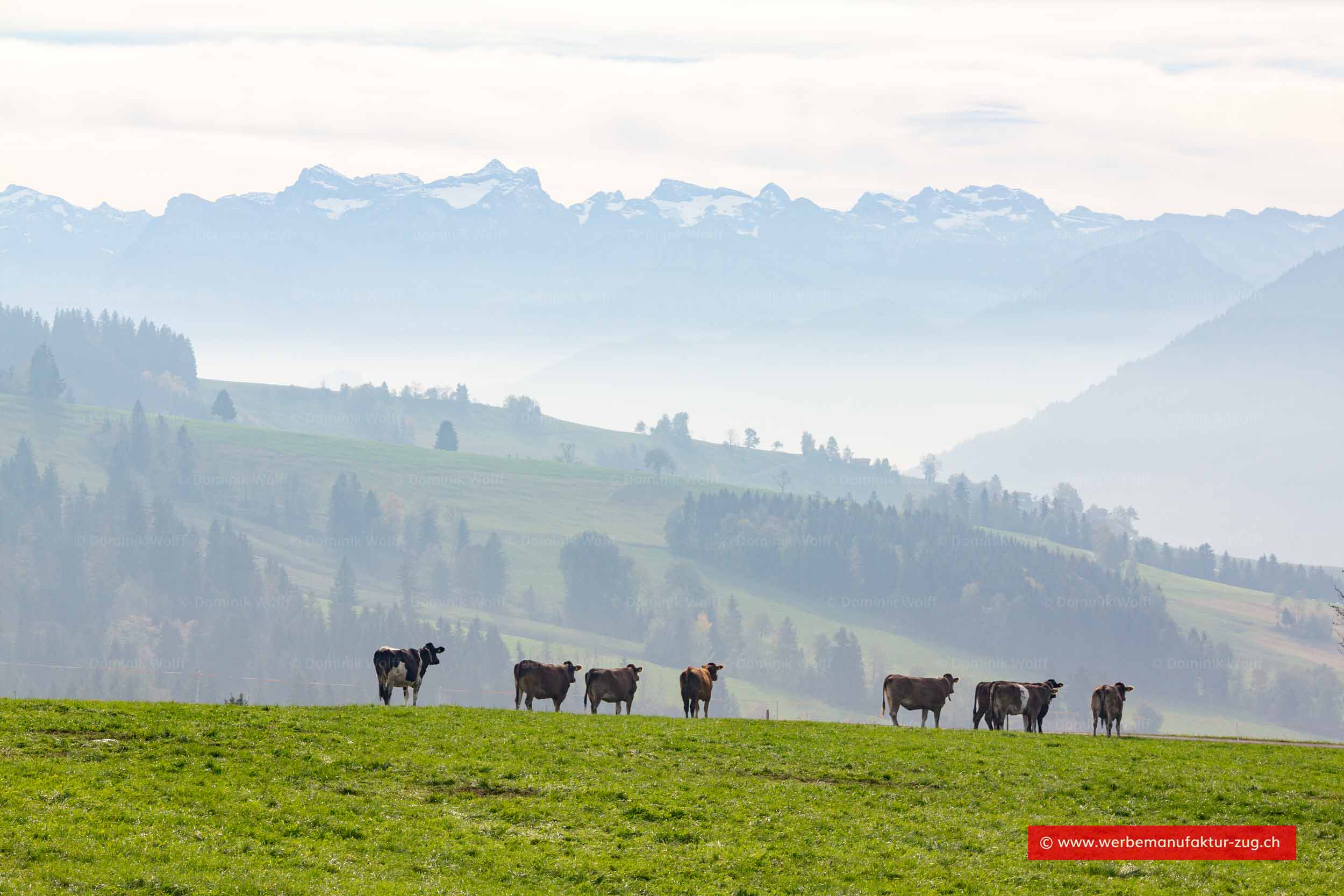Bild + Foto - Am Raten im Kanton Zug