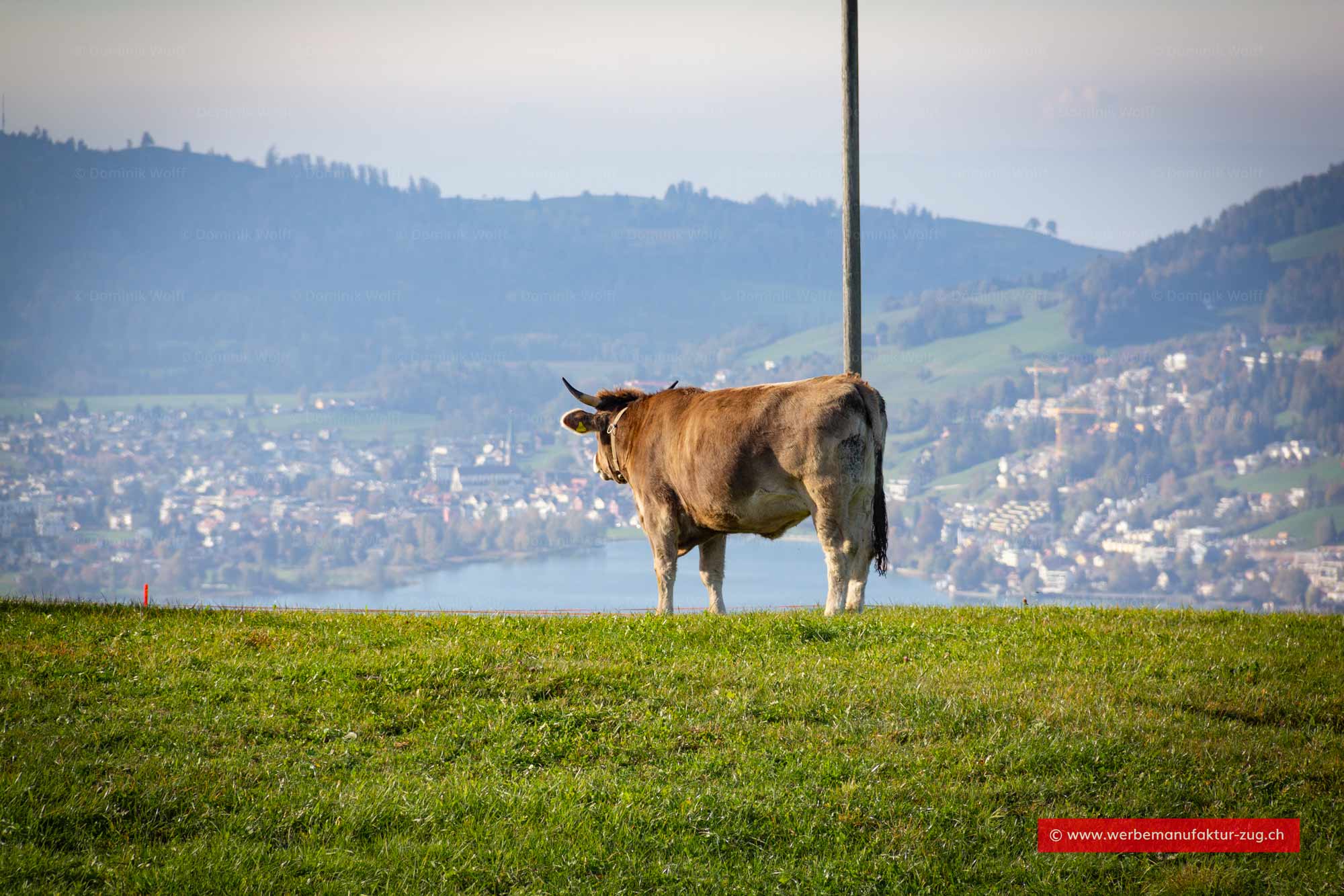 Bild + Foto - Unterägeri im Blick