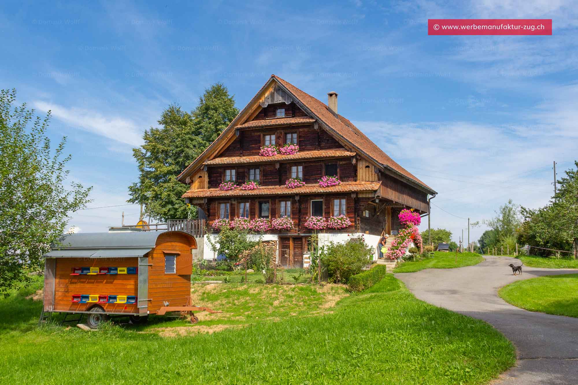 Bild + Foto - Walchwil im Kanton Zug
